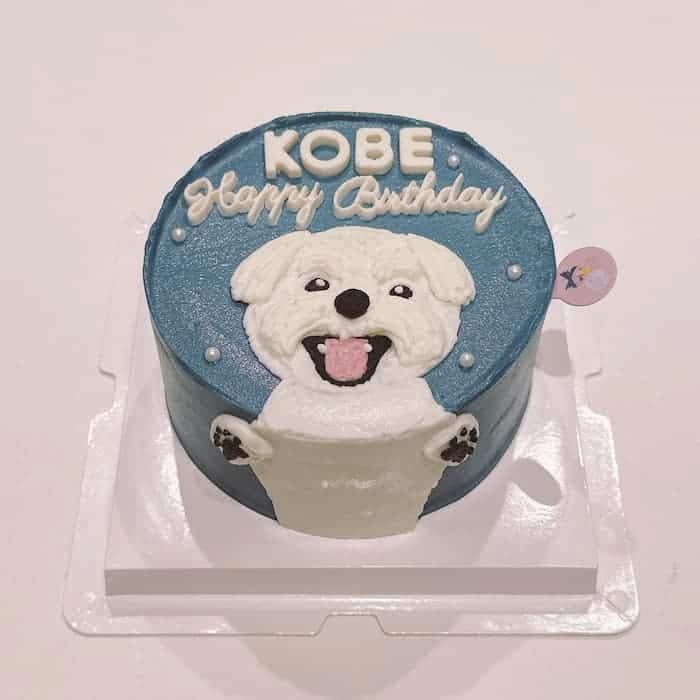 Trần Ngọc Huyền avatar