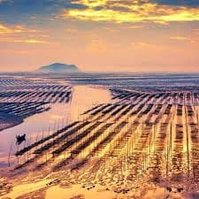 Huỳnh Thị Bảy avatar